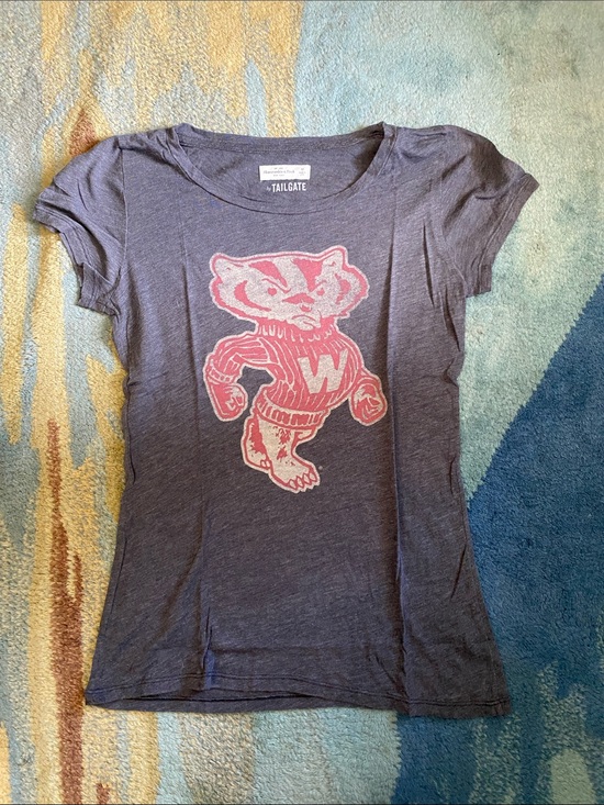 Abercrombie & Fitch Tops - Abercrombie & Fitch Heather Gray Wisconsin Badgers College Tee Size Medium